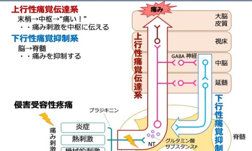 癫痫武汉什么医院治疗效果好网-分享武汉治疗癫痫最好的医院是哪个医院，武汉看癫痫知识库